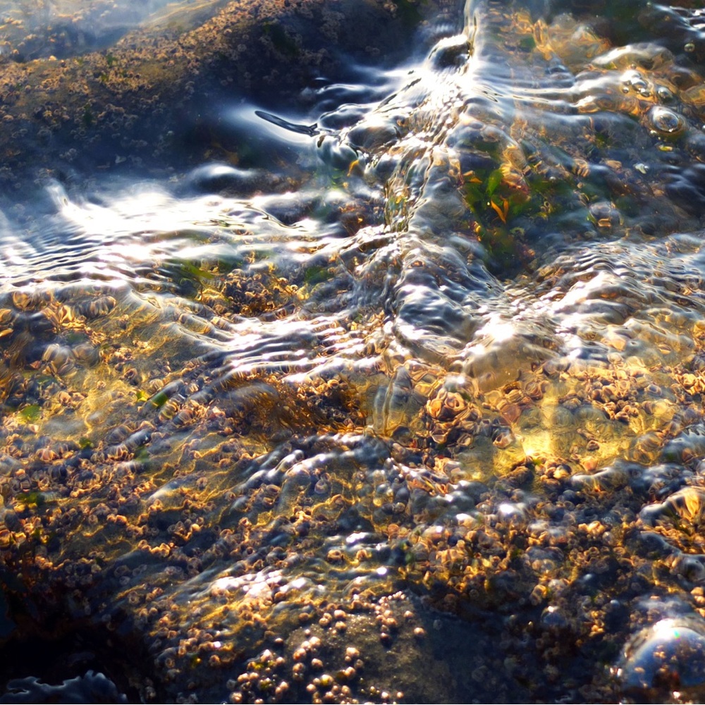 Fine Art Photography Print- Glossy Archival Paper, 8.5x11 Select Original Print